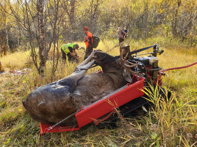 J�rnh�sten IH2090 Flex Jakt I med �lgflak